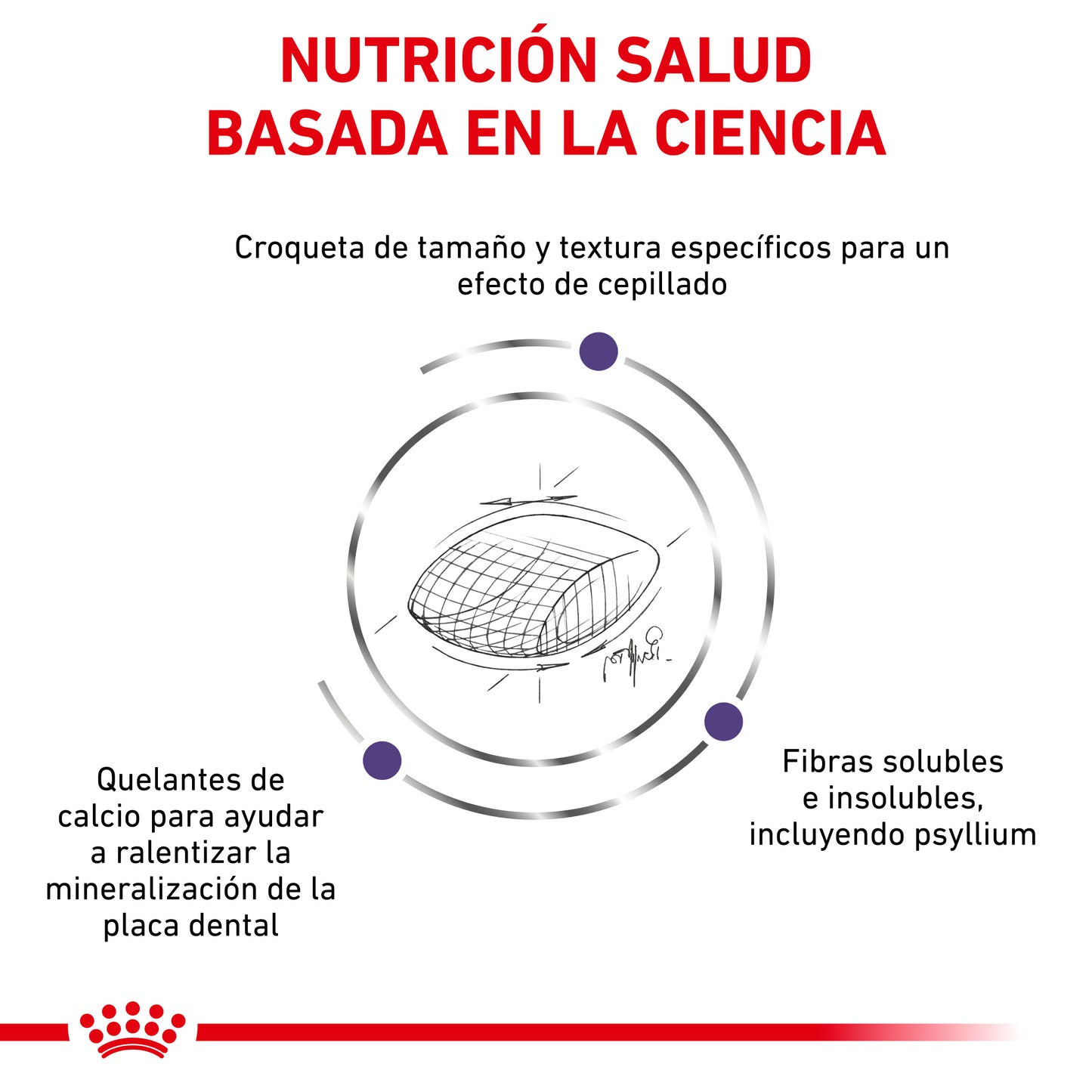 Royal Canin Dental Dry Feline 3.5 Kg