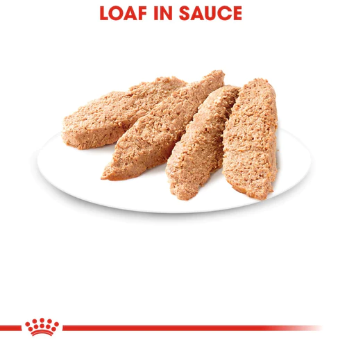 Royal Canin Kitten Loaf 145 Gr