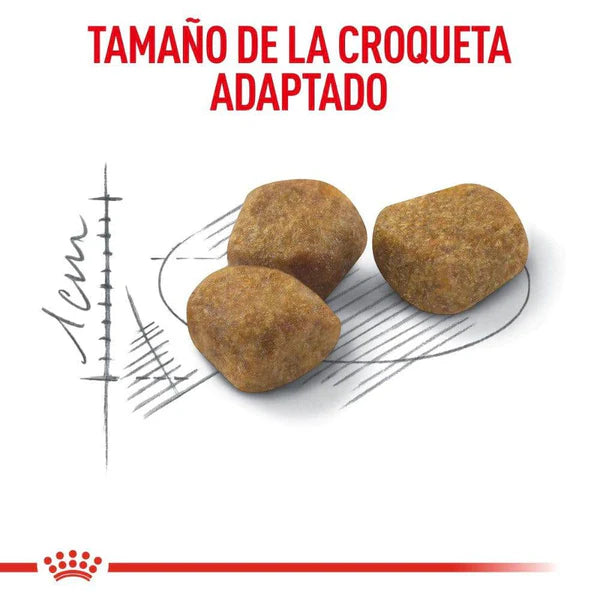 Royal Canin Indoor 7+ – Alimento Seco para Gato Senior de Interior