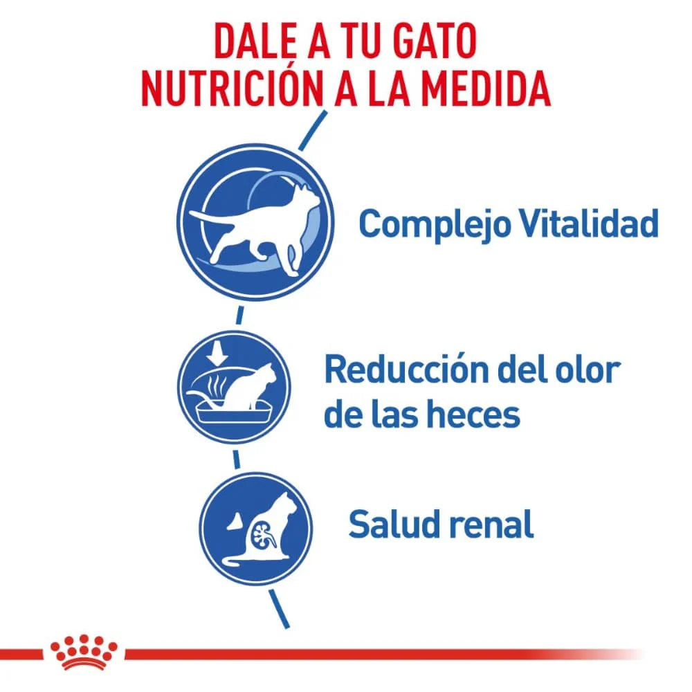 Royal Canin Indoor 7+ – Alimento Seco para Gato Senior de Interior