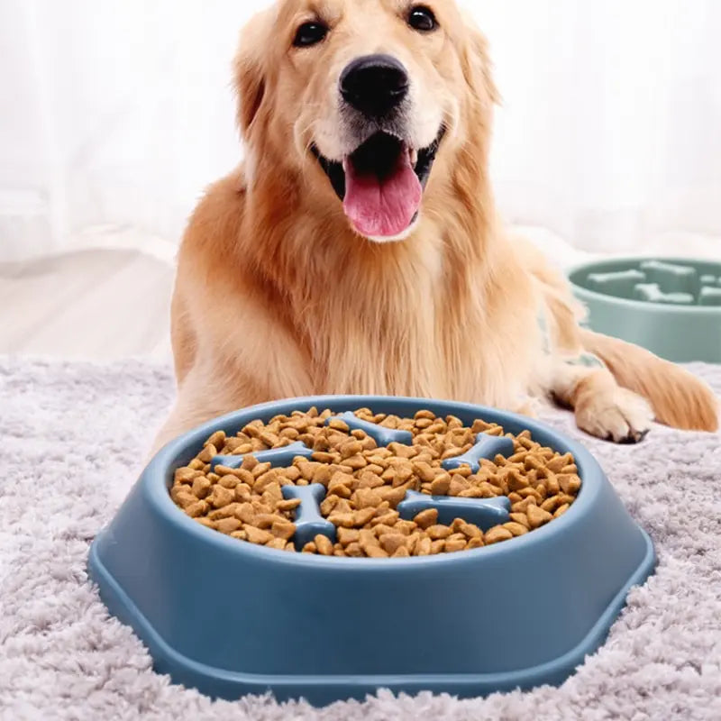 Plato Relentizador para Mascotas - Antiasfixia y Antivuelco de Gran Capacidad