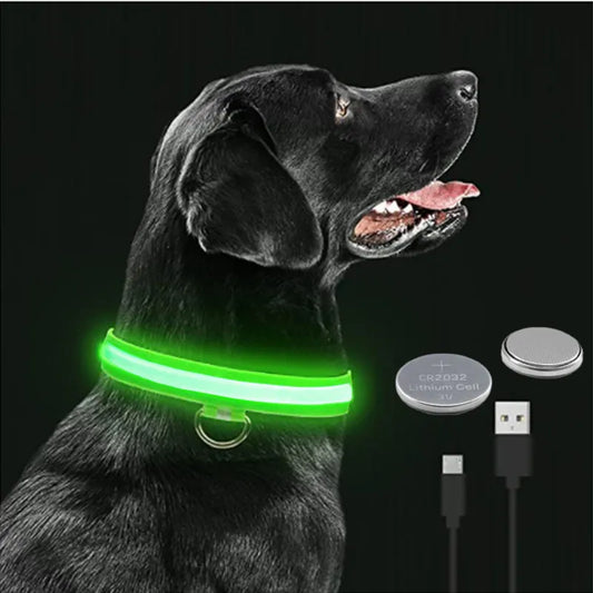 Collar LED brillante para perros, ajustable y recargable anti-extravíos