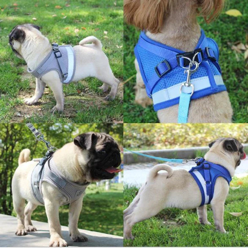Arnés-chaleco ajustable de malla tipo pechera con correa de tracción para perros y gatos de hasta 10Kg