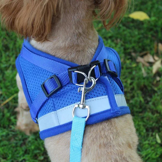 Arnés-chaleco ajustable de malla tipo pechera con correa de tracción para perros y gatos de hasta 10Kg