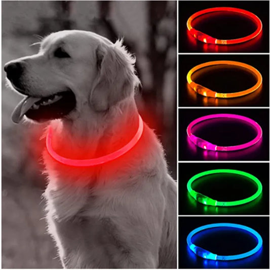 Collar LED para perros desmontable, luminoso y recargable