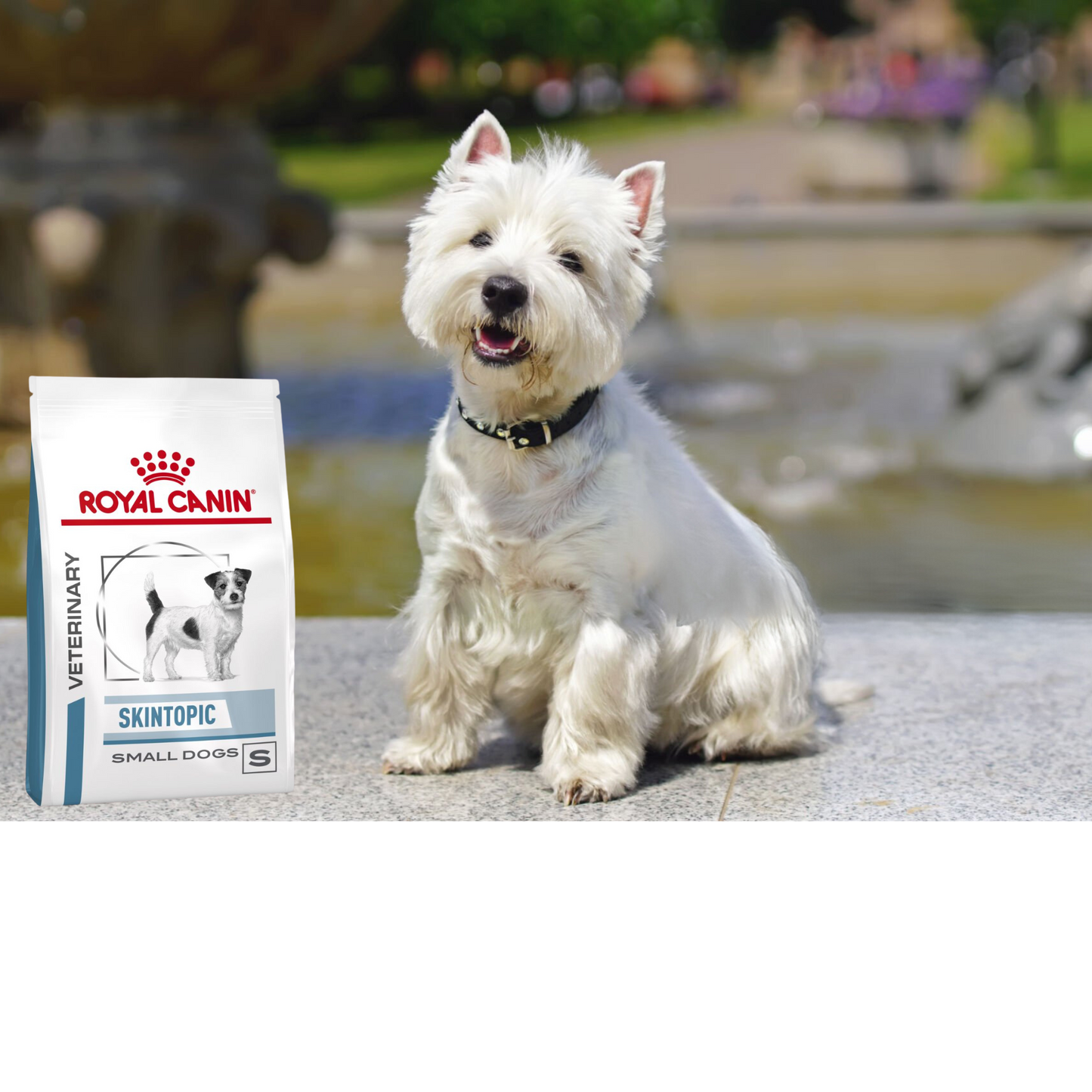 Royal Canin SkinTopic Small Dog (Skin Care Small Dog) 4 Kg