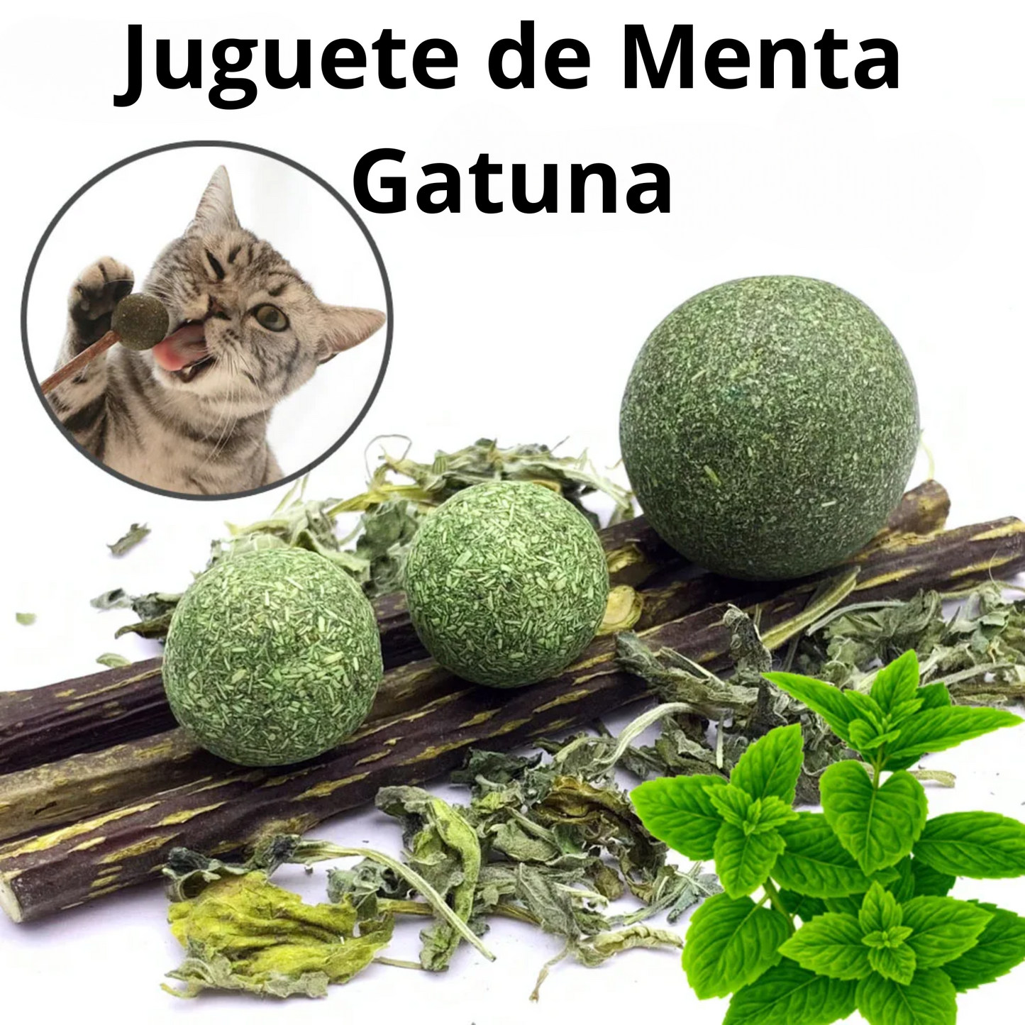 Bolitas y palitos de catnip natural para gatos: Para entrenamiento, esparcimiento, higiene dental y gastrointestinal