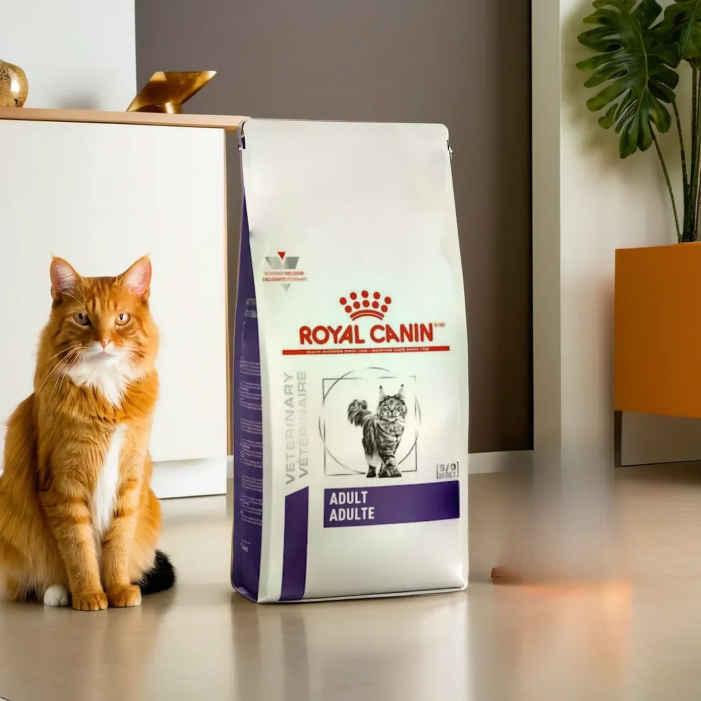 Royal Canin Adult Feline 10 Kg