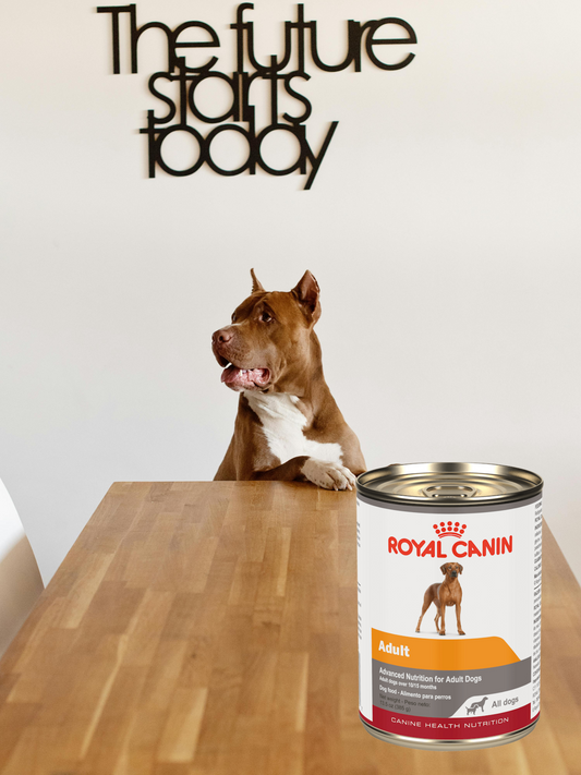 Royal Canin Adult All Dogs Lata 385 Gr
