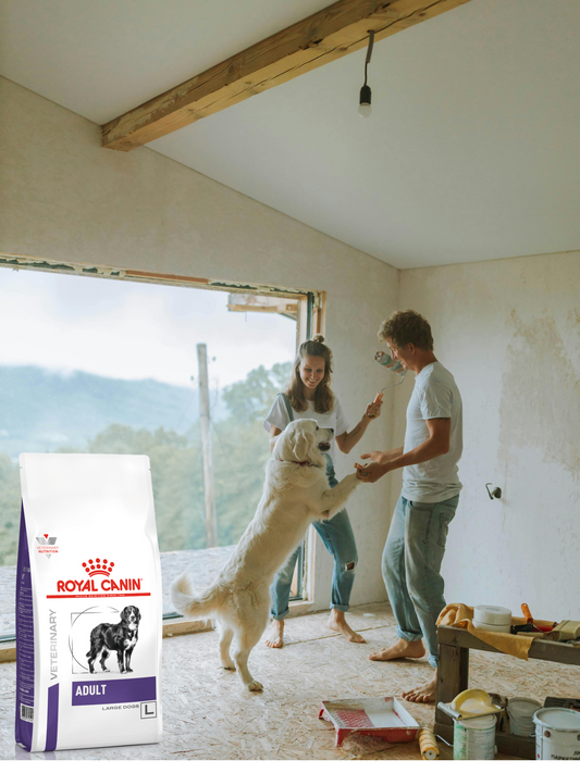 Royal Canin Adult Large Dog 12 Kg