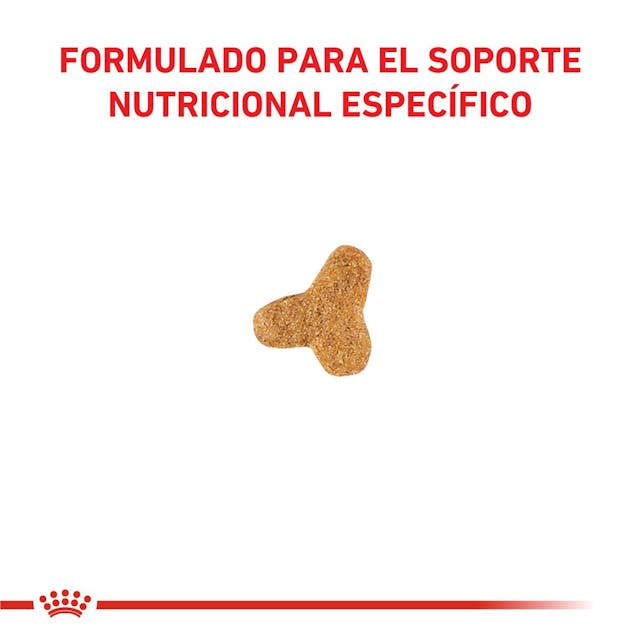 Royal Canin Gastrointestinal Fiber Response 4 Kg