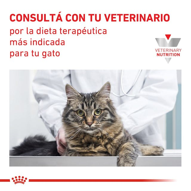 Royal Canin Gastrointestinal Fiber Response 4 Kg