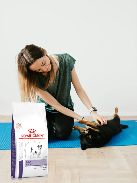 Royal Canin Calm Dry Dog 4 Kg