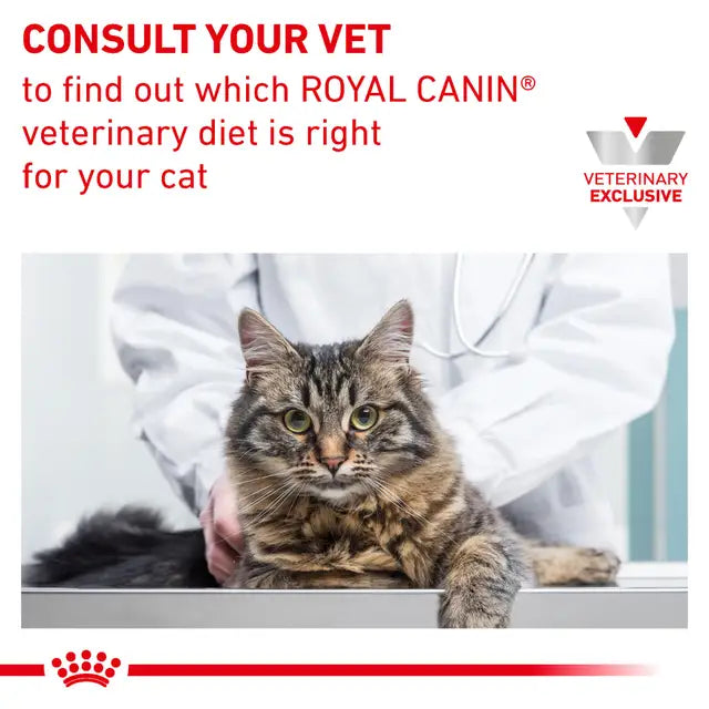 Royal Canin Vet Calm Dry Feline | Alimento Seco para Gatos con Estrés y Ansiedad – Control Emocional y Equilibrio Digestivo