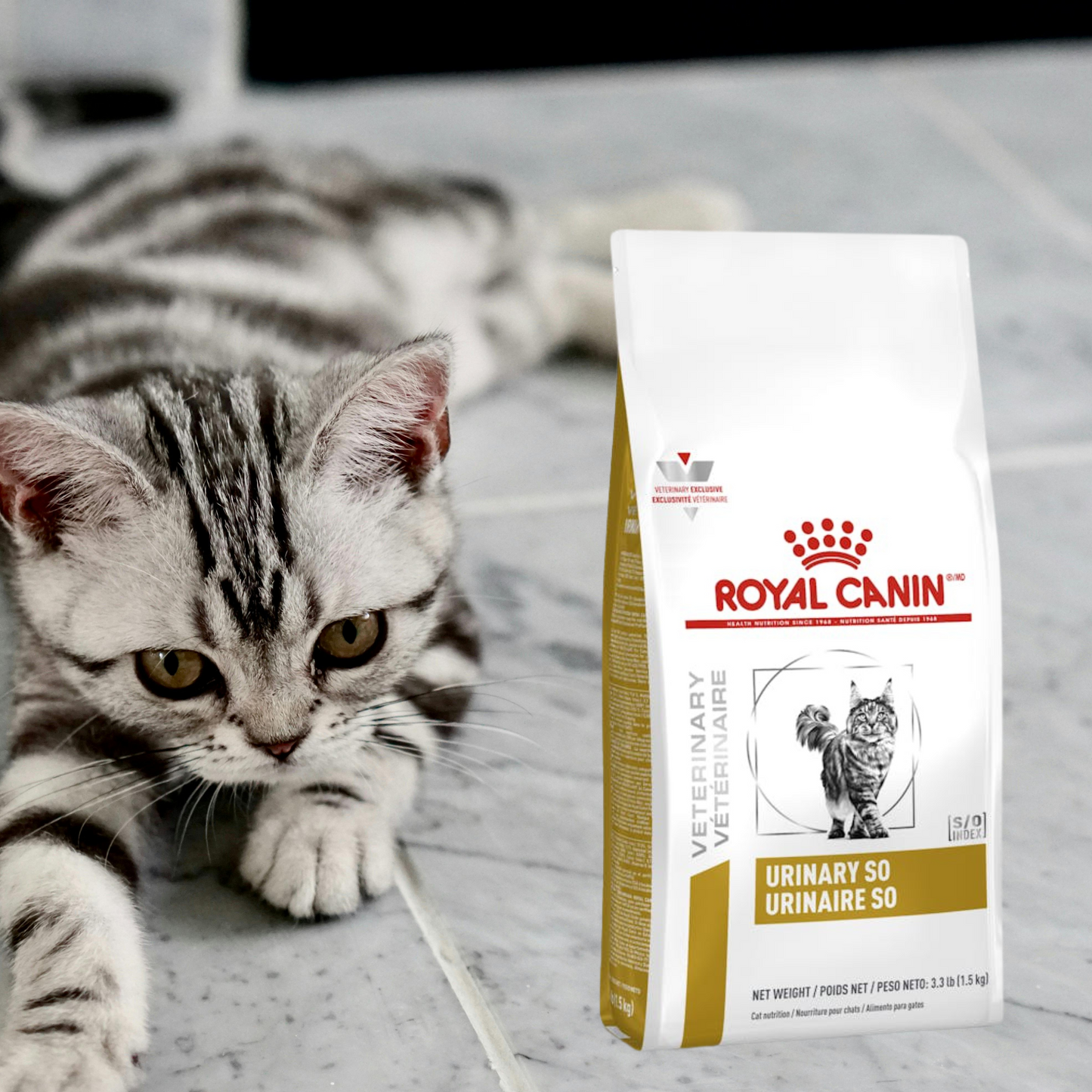 Royal Canin Urinary SO Feline 3.5 Kg