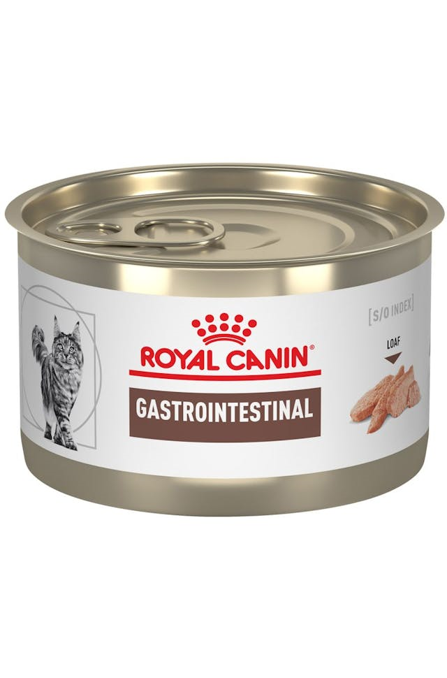 Royal Canin Gastrointestinal Feline Lata 145 Gr