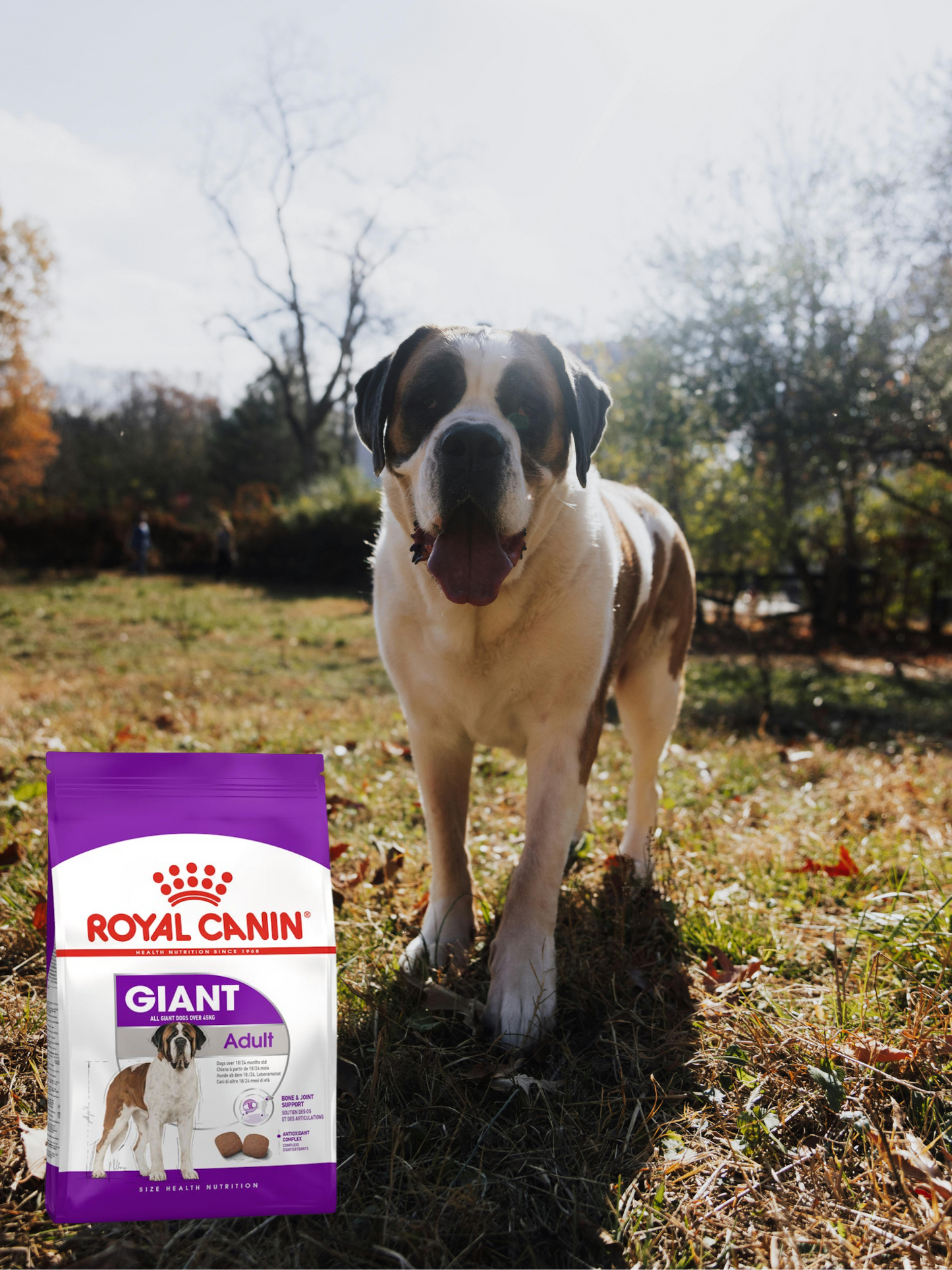 Royal Canin Giant Adult 13.6 Kg