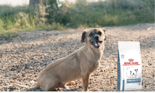 Royal Canin Hydrolized Protein Small Dog 4 Kg