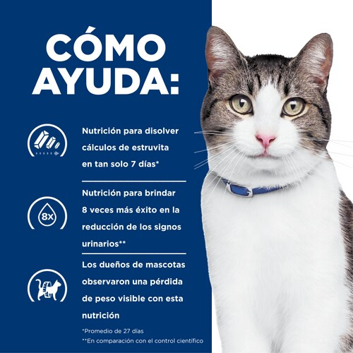 Protección Urinaria y Control de Peso en Uno Solo con Hill’s c/d Urinary + Metabolic