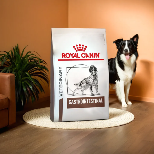 Royal Canin Gastrointestinal 10 Kg