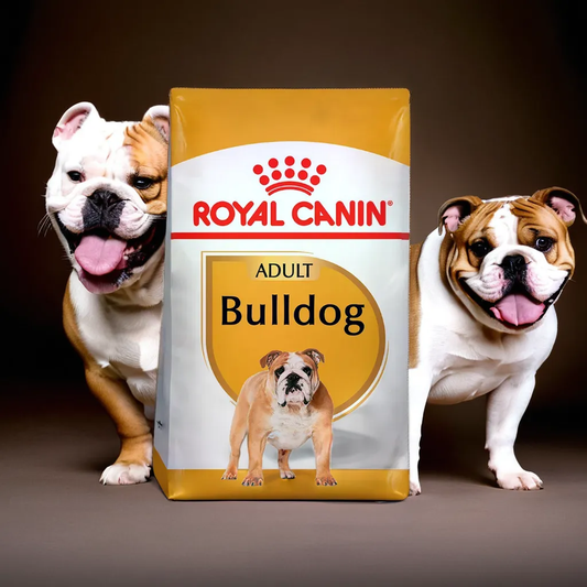 Royal Canin BHN Bulldog 13.6 Kg