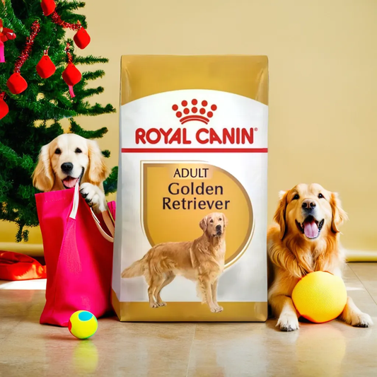 Royal Canin BHN Golden Retriever Adult 13.6 Kg