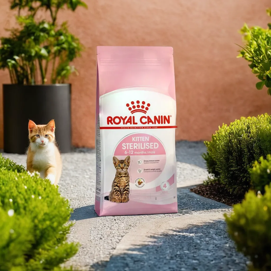 Royal Canin Kitten Spayed 1.14 Kg