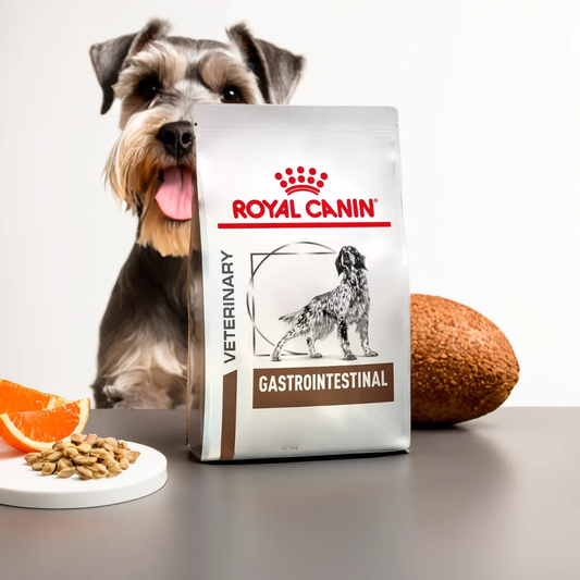 Royal Canin Gastrointestinal High Fiber 4 Kg