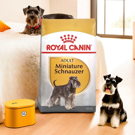 Royal Canin BHN Miniature Schnauzer 4.55 Kg