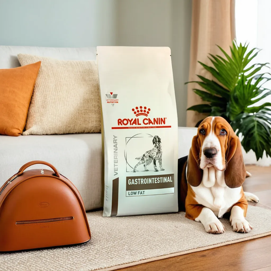 Royal Canin Gastrointestinal Low Fat 13 Kg