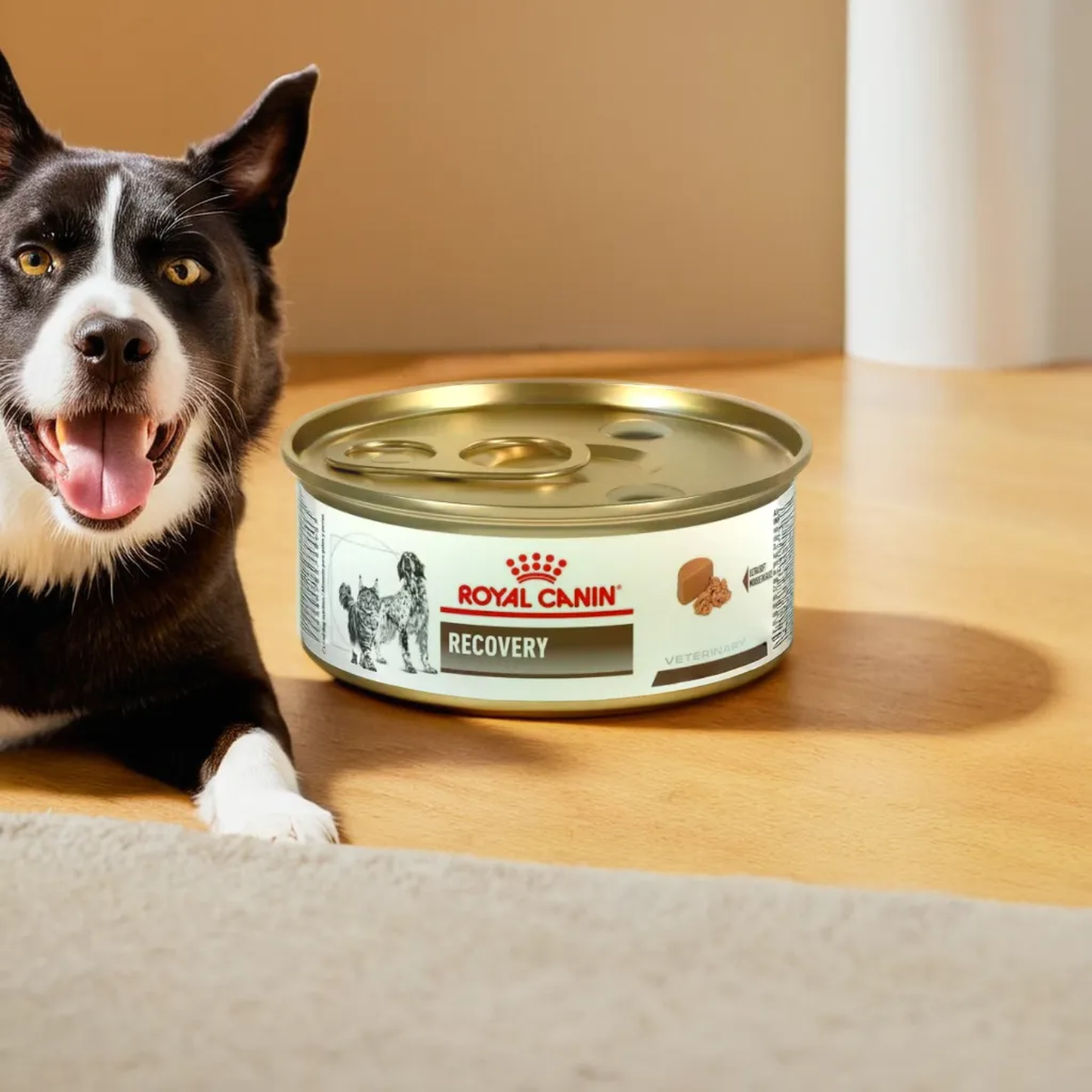 Royal Canin Recovery Canine/Feline Lata 150 Gr