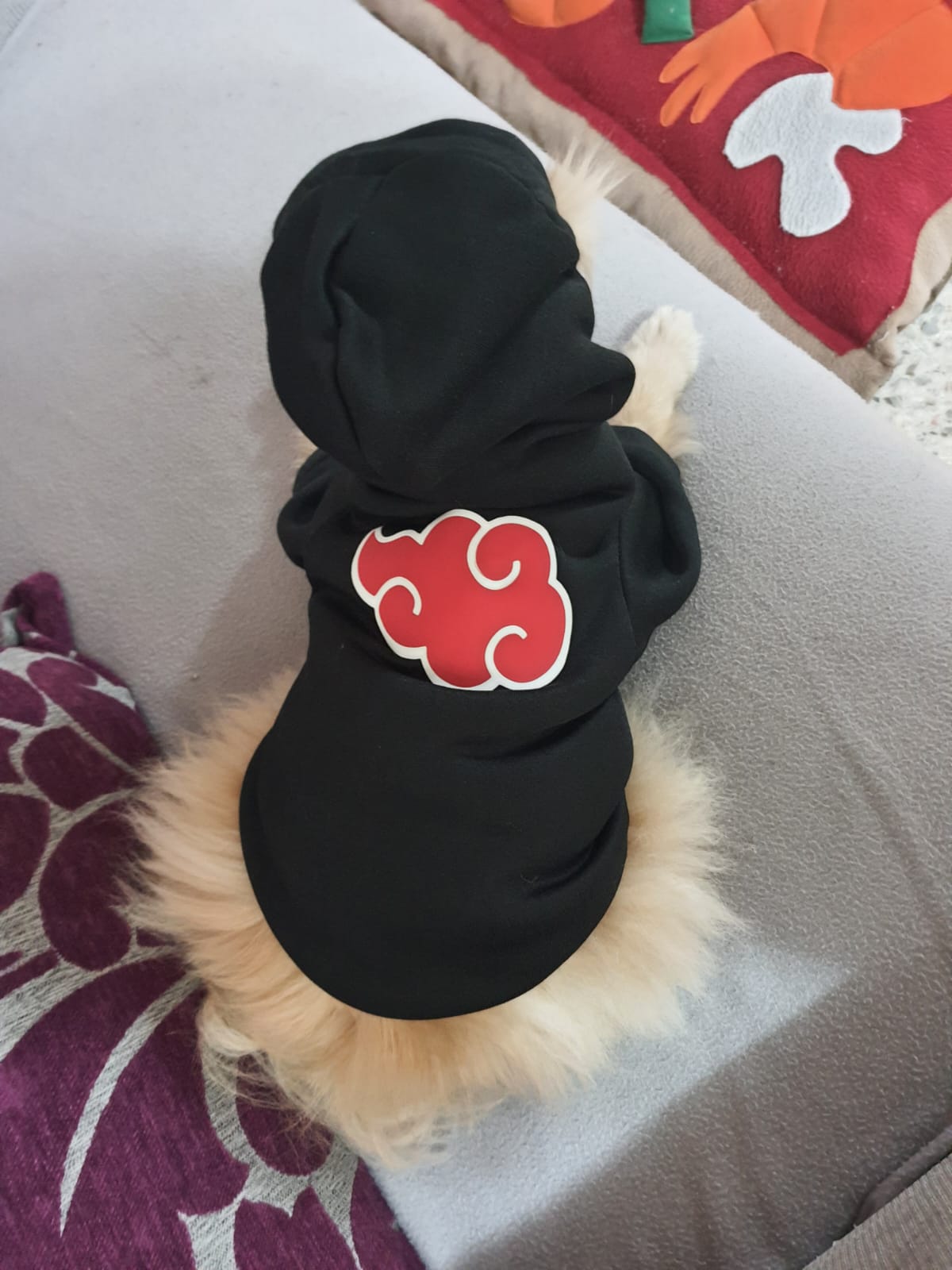 Disfraz Divertido de Akatsuki para Perros y Gatos - Accesorios de Cosplay