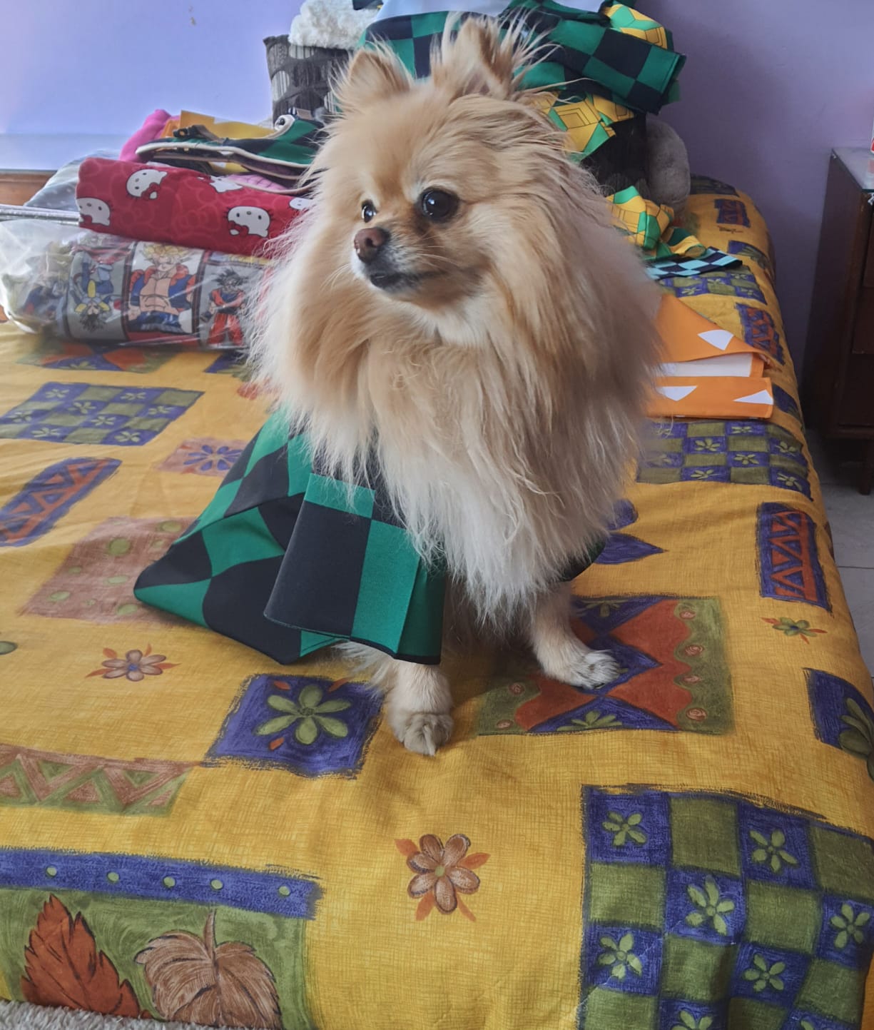 Disfraz de Tanjiro para Mascotas - Perros y Gatos en Estilo Anime