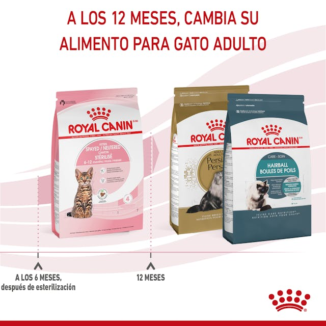 Royal Canin Kitten Spayed 1.14 Kg