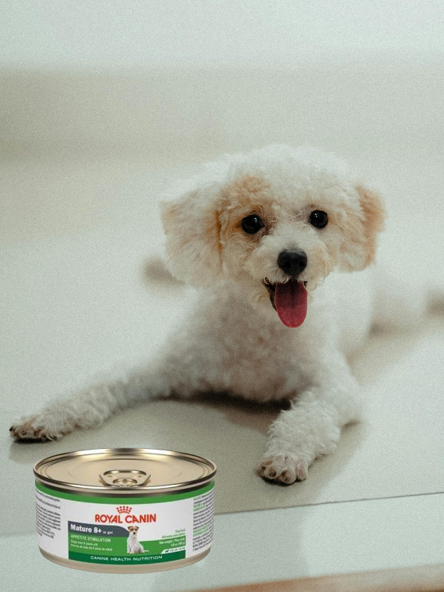 Royal Canin Mature Lata 150 Gr