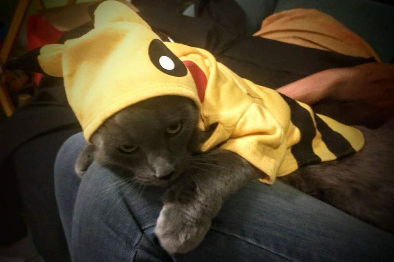 Disfraz de Pikachu para Perros y Gatos | Ropa Divertida para Fans del Anime