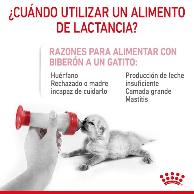 Royal Canin Babycat Milk 300 Gr