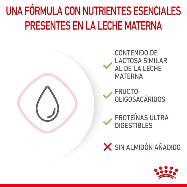 Royal Canin Babycat Milk 300 Gr