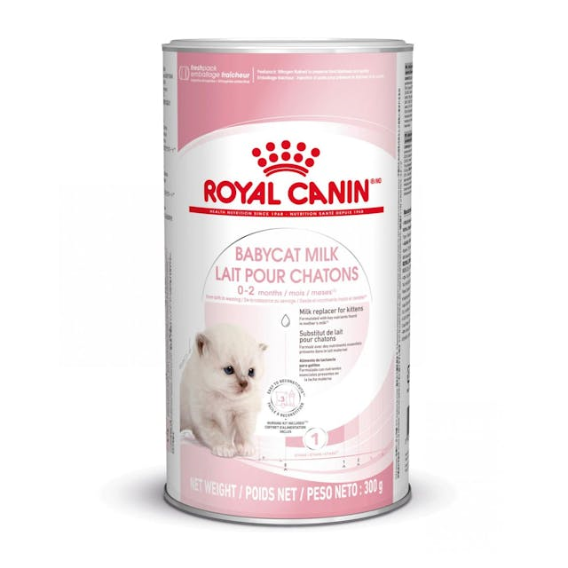 Royal Canin Babycat Milk 300 Gr