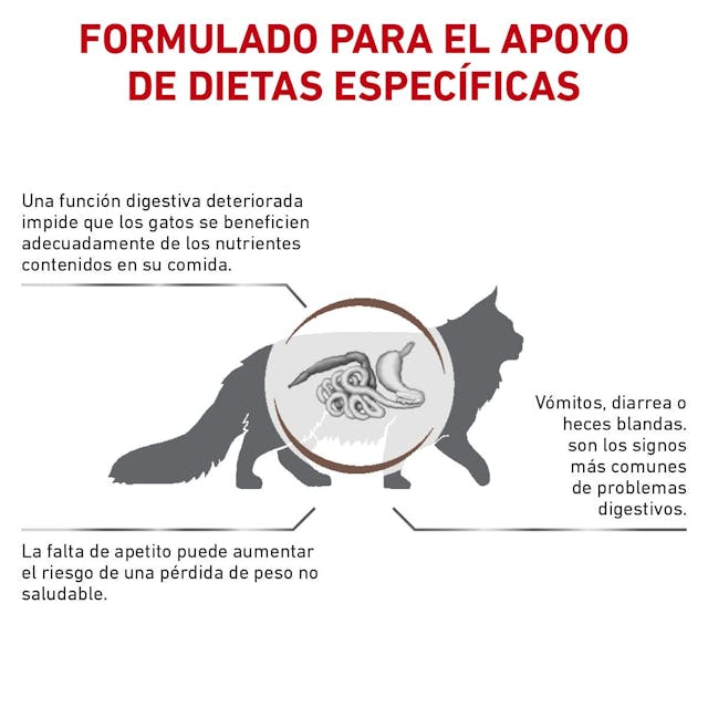 Royal Canin Gastrointestinal Feline 4 Kg