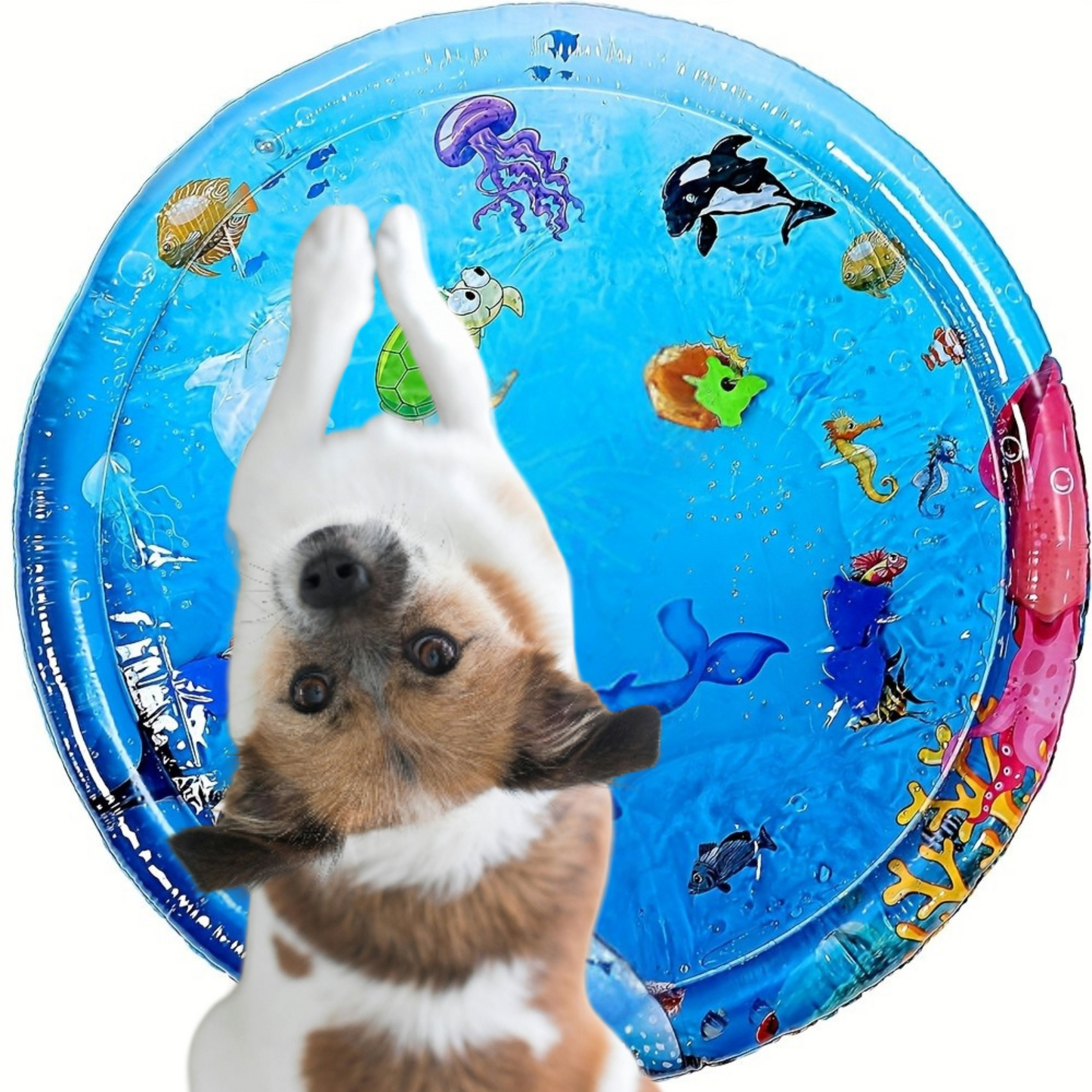 Tapete de Agua con Delfín para Mascotas | Juguete Didáctico 🐬💦🐾