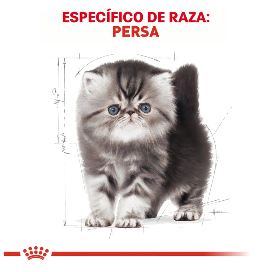 Royal Canin Persian Kitten 1.36 Kg