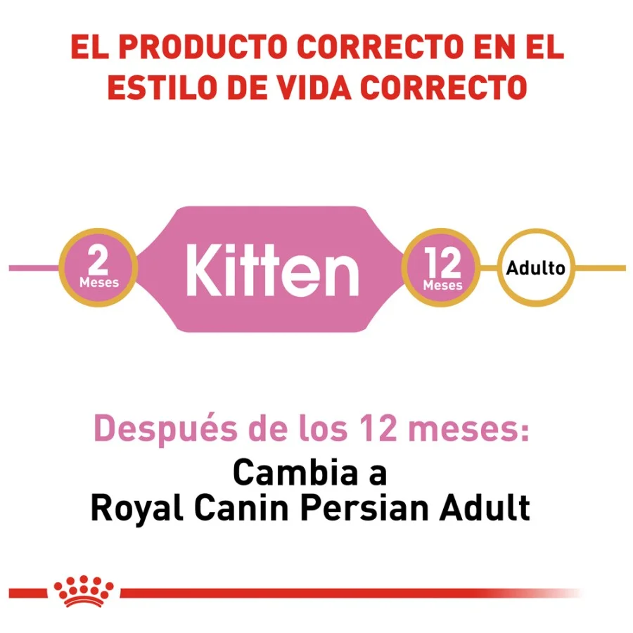 Royal Canin Persian Kitten 1.36 Kg