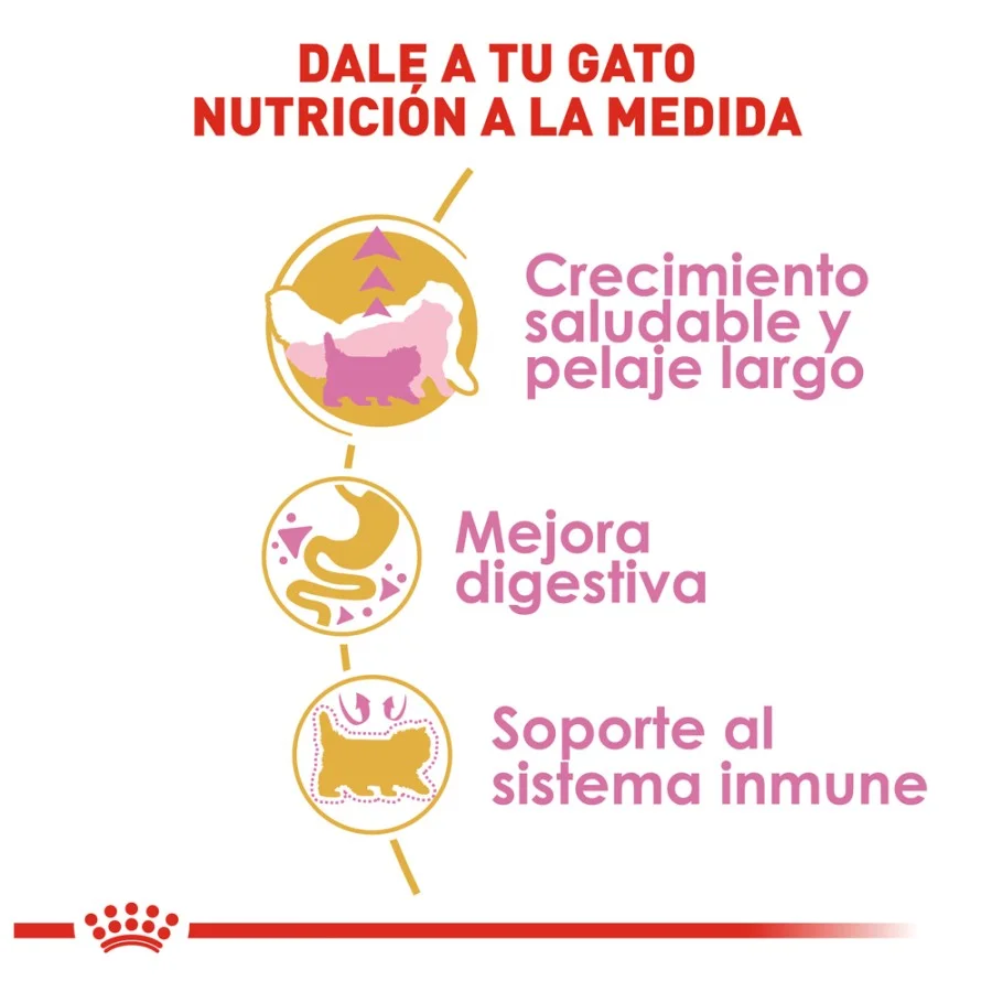 Royal Canin Persian Kitten 1.36 Kg