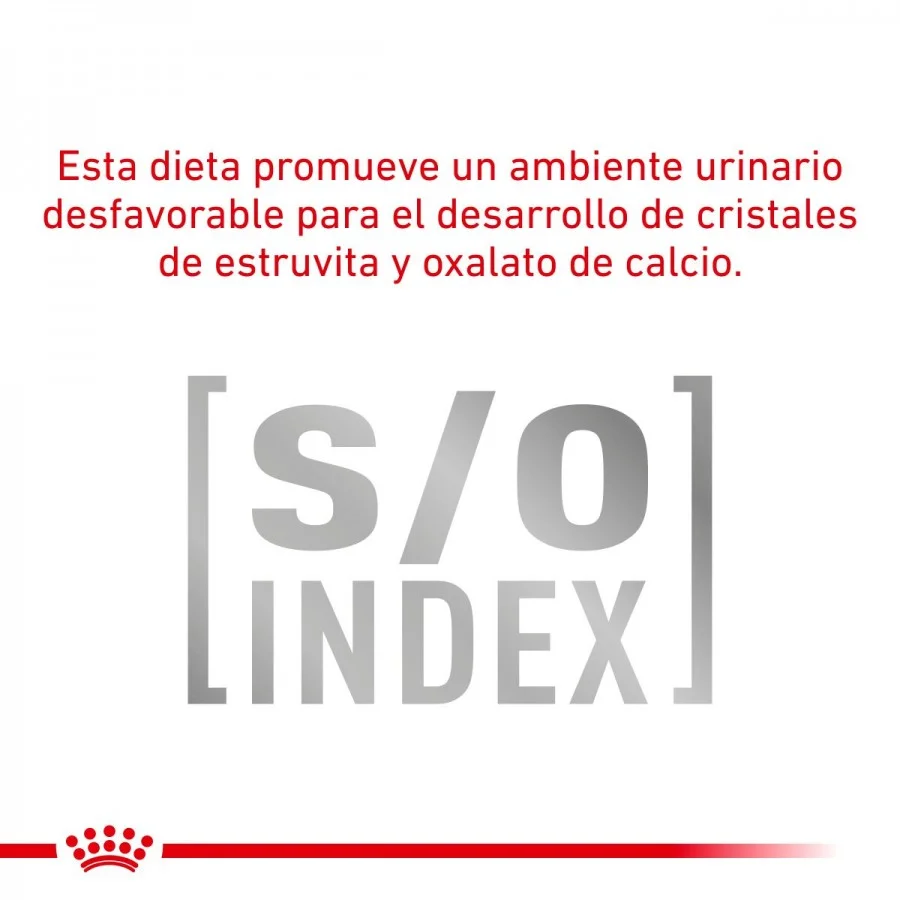 Royal Canin Anallergenic Feline 2.5 Kg