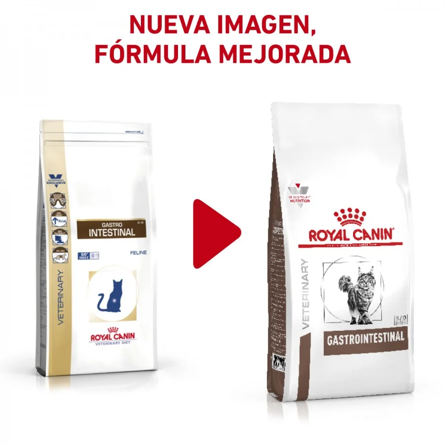 Royal Canin Gastrointestinal Feline 4 Kg