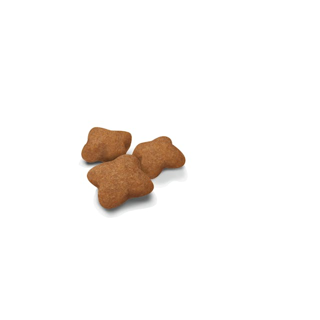 Royal Canin Kitten Spayed 1.14 Kg