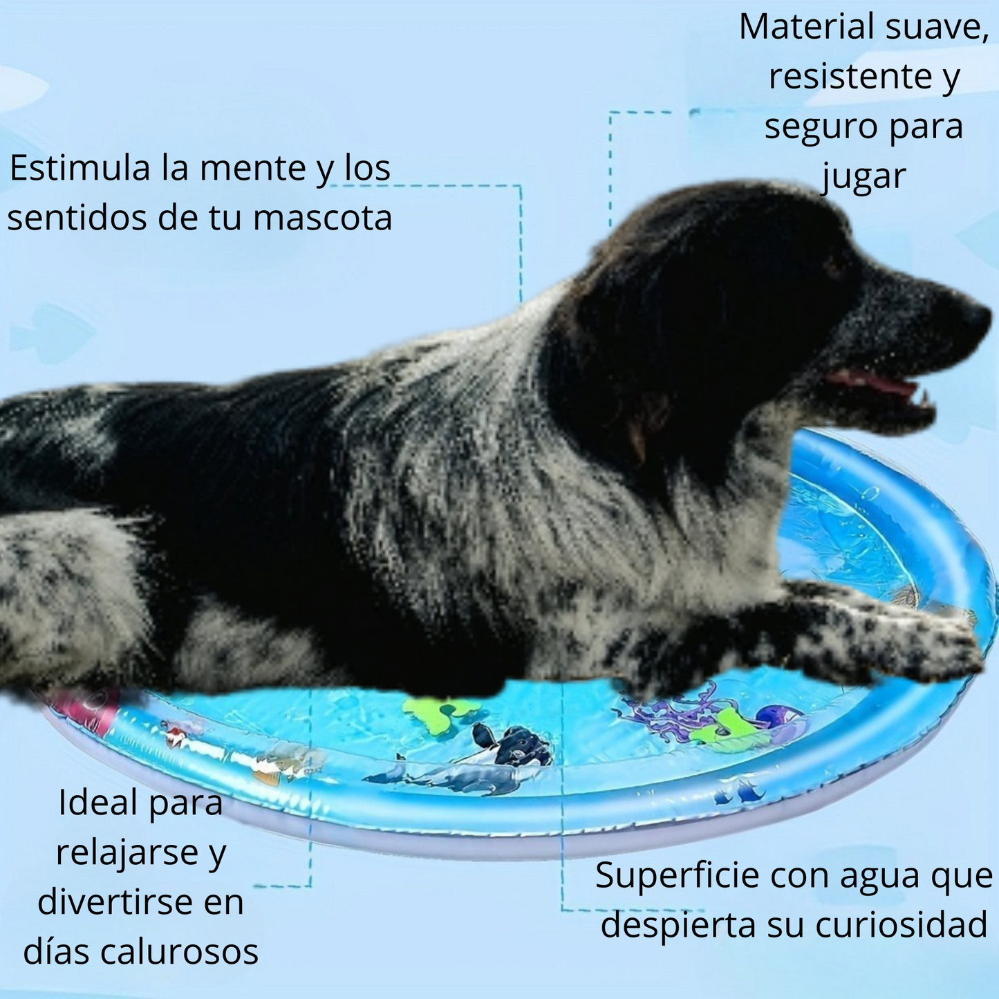 Tapete de Agua con Delfín para Mascotas | Juguete Didáctico 🐬💦🐾