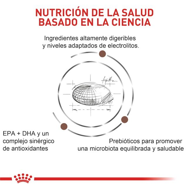 Royal Canin Gastrointestinal Moderate Calorie Feline 3.5 Kg