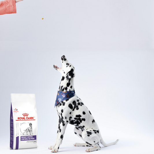 Royal Canin Weight Control 8 Kg